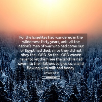 Picture 05 - Joshua 5:6 BSB - For the Israelites had wandered in the wilderness - Bible Verse Picture