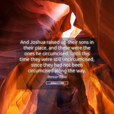 Picture 05 - Joshua 5:7 BSB - And Joshua raised up their sons in their place, - Bible Verse Picture