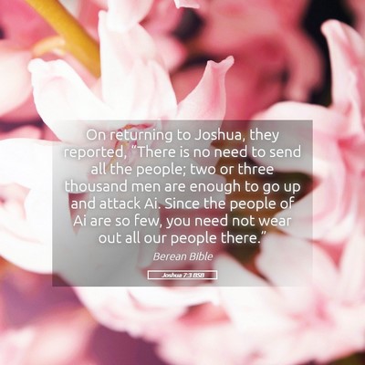 Picture 05 - Joshua 7:3 BSB - On returning to Joshua, they reported, “There - Bible Verse Picture