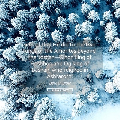 Picture 05 - Joshua 9:10 BSB - and all that He did to the two kings of the - Bible Verse Picture