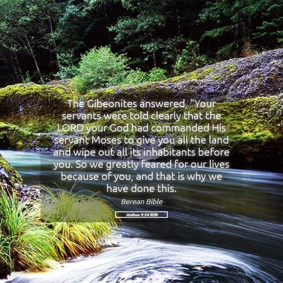 Picture 05 - Joshua 9:24 BSB - The Gibeonites answered, “Your servants were - Bible Verse Picture