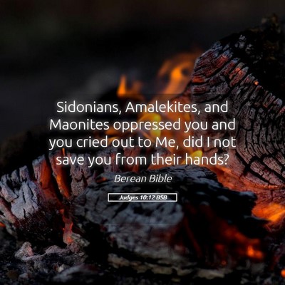 Picture 05 - Judges 10:12 BSB - Sidonians, Amalekites, and Maonites oppressed you - Bible Verse Picture