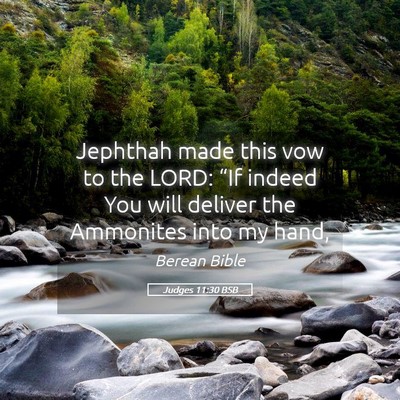 Picture 05 - Judges 11:30 BSB - Jephthah made this vow to the LORD: “If indeed - Bible Verse Picture