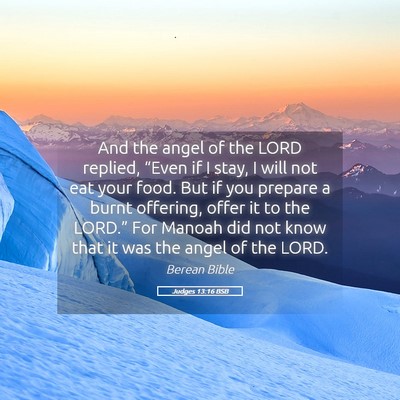 Picture 05 - Judges 13:16 BSB - And the angel of the LORD replied, “Even if I - Bible Verse Picture