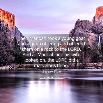 Picture 05 - Judges 13:19 BSB - Then Manoah took a young goat and a grain - Bible Verse Picture