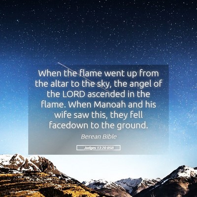 Picture 05 - Judges 13:20 BSB - When the flame went up from the altar to the sky, - Bible Verse Picture