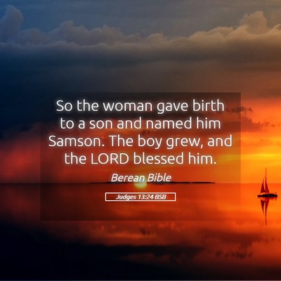 Picture 05 - Judges 13:24 BSB - So the woman gave birth to a son and named him - Bible Verse Picture