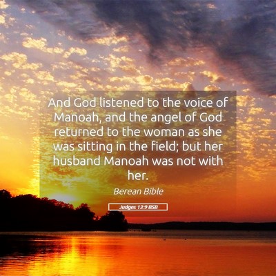 Picture 05 - Judges 13:9 BSB - And God listened to the voice of Manoah, and the - Bible Verse Picture