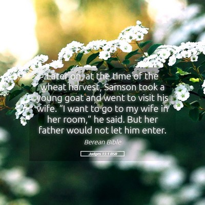 Picture 05 - Judges 15:1 BSB - Later on, at the time of the wheat harvest, - Bible Verse Picture