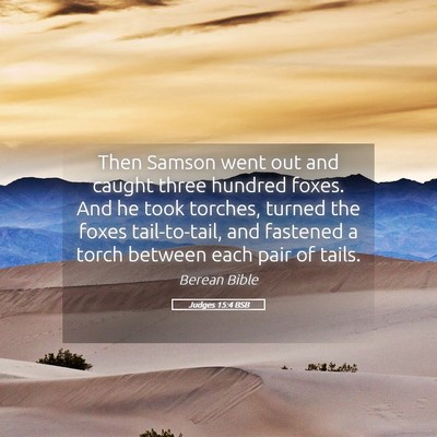 Picture 05 - Judges 15:4 BSB - Then Samson went out and caught three hundred - Bible Verse Picture