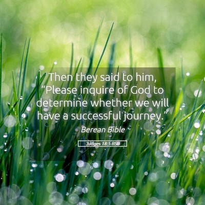 Picture 05 - Judges 18:5 BSB - Then they said to him, “Please inquire of God - Bible Verse Picture