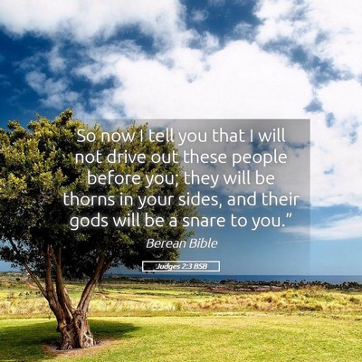 Picture 05 - Judges 2:3 BSB - So now I tell you that I will not drive out these - Bible Verse Picture