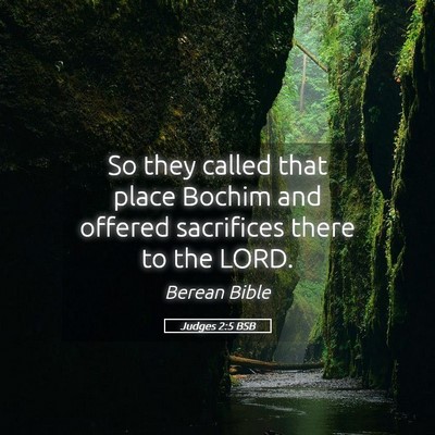 Picture 05 - Judges 2:5 BSB - So they called that place Bochim and offered - Bible Verse Picture