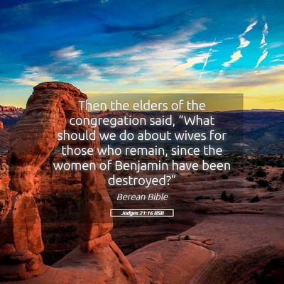 Picture 05 - Judges 21:16 BSB - Then the elders of the congregation said, “What - Bible Verse Picture