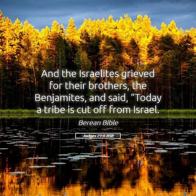 Picture 05 - Judges 21:6 BSB - And the Israelites grieved for their brothers, - Bible Verse Picture