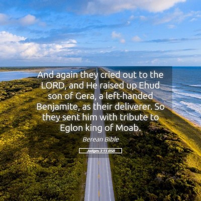 Picture 05 - Judges 3:15 BSB - And again they cried out to the LORD, and He - Bible Verse Picture