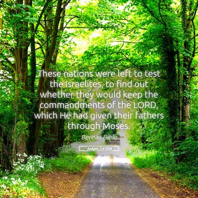 Picture 05 - Judges 3:4 BSB - These nations were left to test the Israelites, - Bible Verse Picture