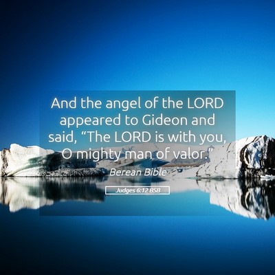 Picture 05 - Judges 6:12 BSB - And the angel of the LORD appeared to Gideon and - Bible Verse Picture