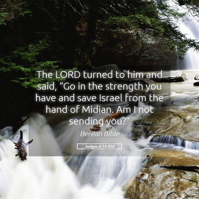 Picture 05 - Judges 6:14 BSB - The LORD turned to him and said, “Go in the - Bible Verse Picture