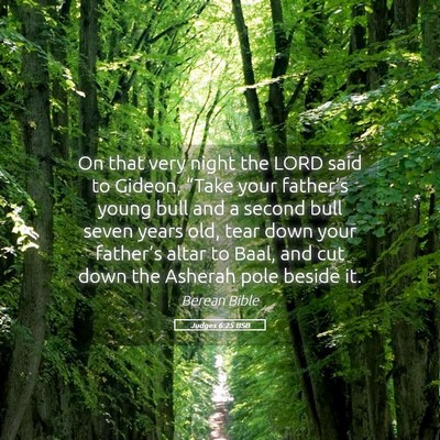 Picture 05 - Judges 6:25 BSB - On that very night the LORD said to Gideon, - Bible Verse Picture
