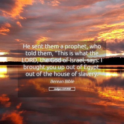 Picture 05 - Judges 6:8 BSB - He sent them a prophet, who told them, “This is - Bible Verse Picture