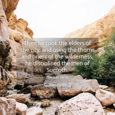 Picture 05 - Judges 8:16 BSB - Then he took the elders of the city, and using - Bible Verse Picture