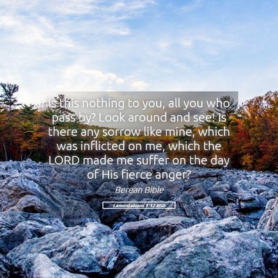 Picture 05 - Lamentations 1:12 BSB - Is this nothing to you, all you who pass by? Look - Bible Verse Picture
