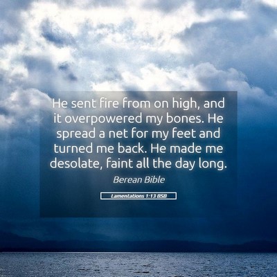 Picture 05 - Lamentations 1:13 BSB - He sent fire from on high, and it overpowered my - Bible Verse Picture