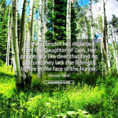 Picture 05 - Lamentations 1:6 BSB - All the splendor has departed from the Daughter - Bible Verse Picture