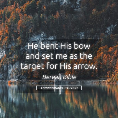 Picture 05 - Lamentations 3:12 BSB - He bent His bow and set me as the target for His - Bible Verse Picture