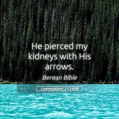 Picture 05 - Lamentations 3:13 BSB - He pierced my kidneys with His - Bible Verse Picture
