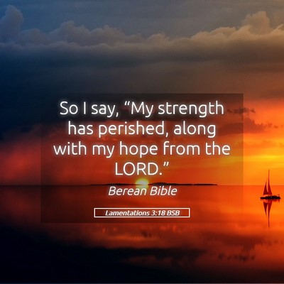 Picture 05 - Lamentations 3:18 BSB - So I say, “My strength has perished, along with - Bible Verse Picture