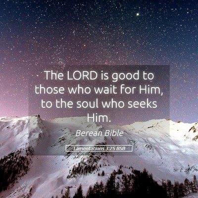 Picture 05 - Lamentations 3:25 BSB - The LORD is good to those who wait for Him, to - Bible Verse Picture