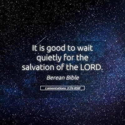 Picture 05 - Lamentations 3:26 BSB - It is good to wait quietly for the salvation of - Bible Verse Picture