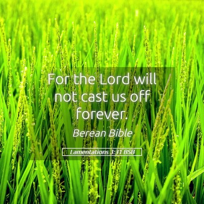 Picture 05 - Lamentations 3:31 BSB - For the Lord will not cast us off - Bible Verse Picture