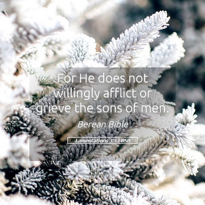 Picture 05 - Lamentations 3:33 BSB - For He does not willingly afflict or grieve the - Bible Verse Picture