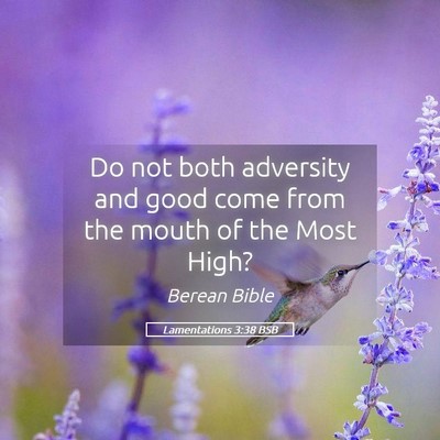 Picture 05 - Lamentations 3:38 BSB - Do not both adversity and good come from the - Bible Verse Picture