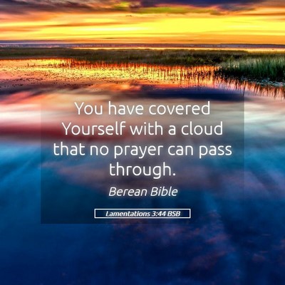 Picture 05 - Lamentations 3:44 BSB - You have covered Yourself with a cloud that no - Bible Verse Picture