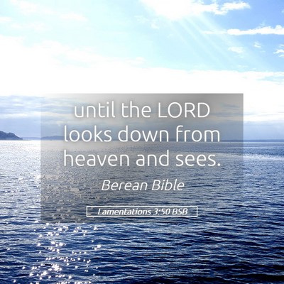 Picture 05 - Lamentations 3:50 BSB - until the LORD looks down from heaven and - Bible Verse Picture