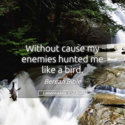 Picture 05 - Lamentations 3:52 BSB - Without cause my enemies hunted me like a - Bible Verse Picture