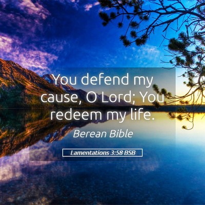 Picture 05 - Lamentations 3:58 BSB - You defend my cause, O Lord; You redeem my - Bible Verse Picture