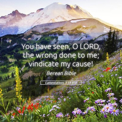 Picture 05 - Lamentations 3:59 BSB - You have seen, O LORD, the wrong done to me; - Bible Verse Picture