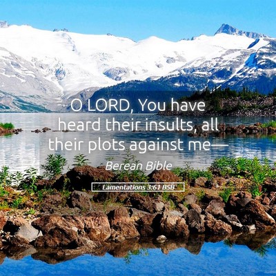 Picture 05 - Lamentations 3:61 BSB - O LORD, You have heard their insults, all their - Bible Verse Picture