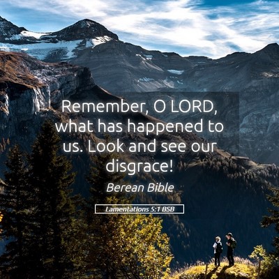 Picture 05 - Lamentations 5:1 BSB - Remember, O LORD, what has happened to us. Look - Bible Verse Picture