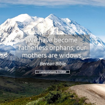 Picture 05 - Lamentations 5:3 BSB - We have become fatherless orphans; our mothers - Bible Verse Picture
