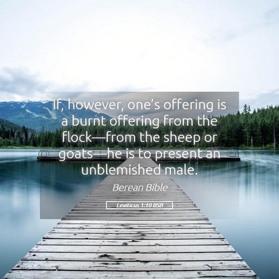 Picture 05 - Leviticus 1:10 BSB - If, however, one’s offering is a burnt offering - Bible Verse Picture