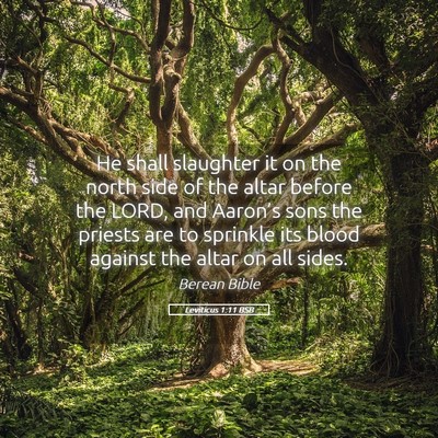 Picture 05 - Leviticus 1:11 BSB - He shall slaughter it on the north side of the - Bible Verse Picture