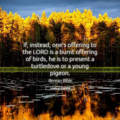 Picture 05 - Leviticus 1:14 BSB - If, instead, one’s offering to the LORD is a - Bible Verse Picture