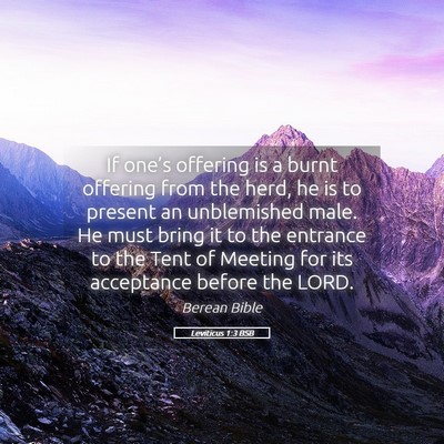 Picture 05 - Leviticus 1:3 BSB - If one’s offering is a burnt offering from the - Bible Verse Picture