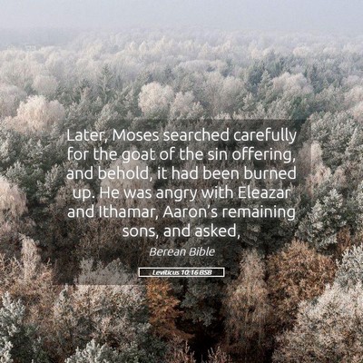Picture 05 - Leviticus 10:16 BSB - Later, Moses searched carefully for the goat of - Bible Verse Picture